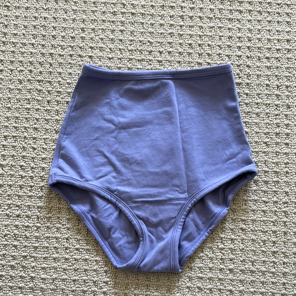 ARQ high rise undies XS